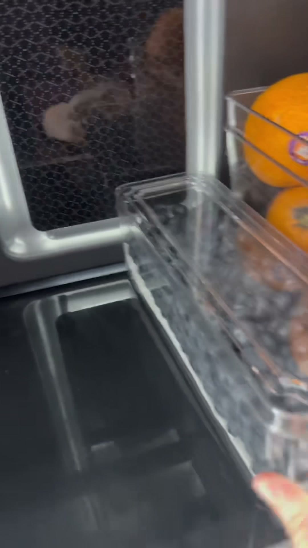 Fridge Organization and Fruit Preservation Tips